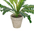 GloboStar® Artificial Garden  ASPLENIUM POTTED PLANT 20904 Διακοσμητικό Φυτό Aslenium Φ40 x Υ33cm - ledmania.gr