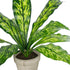 GloboStar® Artificial Garden  SPATHIPHYLLUM POTTED PLANT 20905 Διακοσμητικό Φυτό Σπαθίφυλλο Φ40 x Υ33cm - ledmania.gr