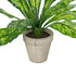 GloboStar® Artificial Garden  SPATHIPHYLLUM POTTED PLANT 20905 Διακοσμητικό Φυτό Σπαθίφυλλο Φ40 x Υ33cm - ledmania.gr