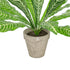GloboStar® Artificial Garden  ZEBRA POTTED PLANT 20906 Διακοσμητικό Φυτό Ζέμπρα Φ40 x Υ33cm - ledmania.gr