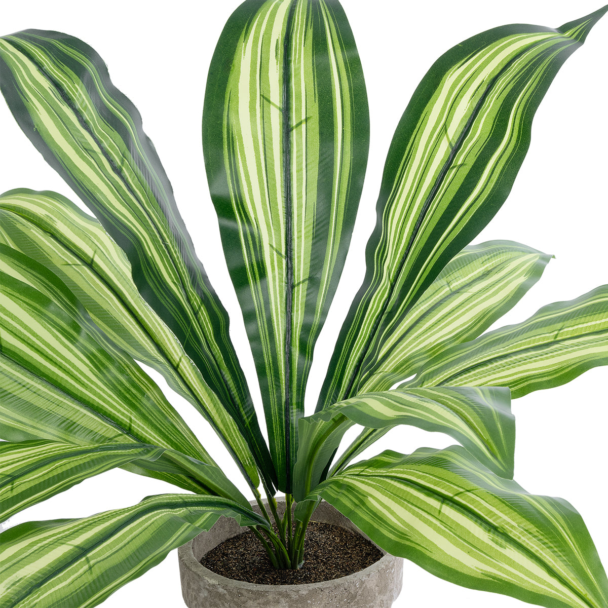GloboStar® Artificial Garden  DRACAENA POTTED PLANT 20907 Διακοσμητικό Φυτό Δράκενα Φ40 x Υ33cm - ledmania.gr