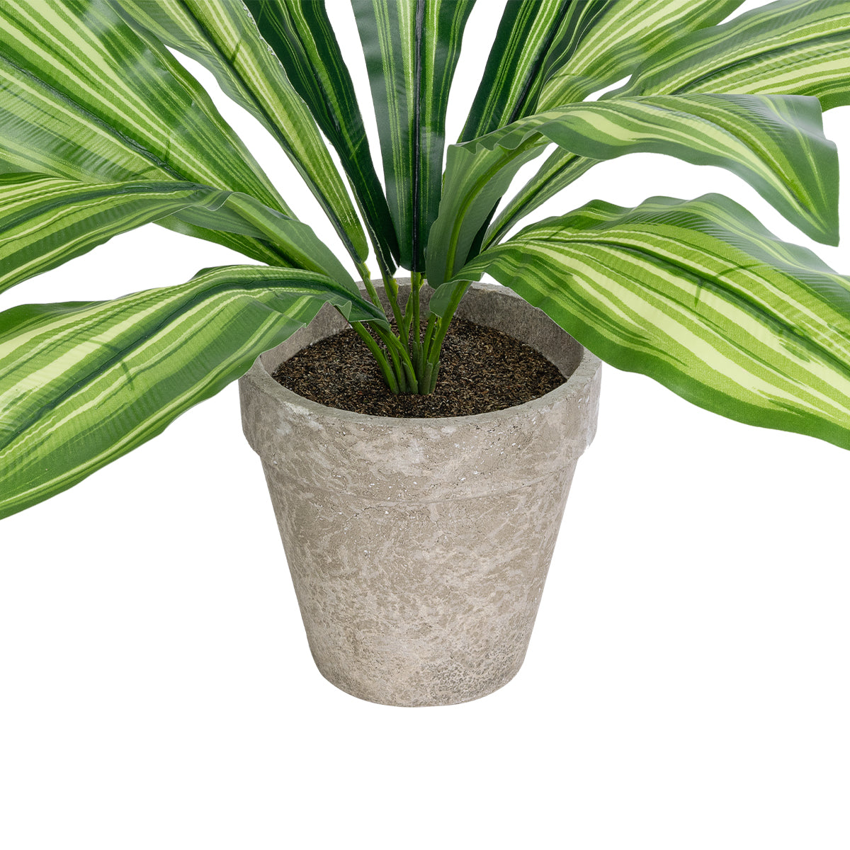 GloboStar® Artificial Garden  DRACAENA POTTED PLANT 20907 Διακοσμητικό Φυτό Δράκενα Φ40 x Υ33cm - ledmania.gr