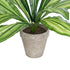GloboStar® Artificial Garden  DRACAENA POTTED PLANT 20907 Διακοσμητικό Φυτό Δράκενα Φ40 x Υ33cm - ledmania.gr
