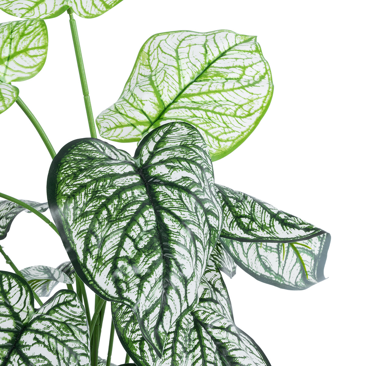 GloboStar® Artificial Garden CALADIUM 20908 Διακοσμητικό Φυτό Καλάδια Υ75cm - ledmania.gr