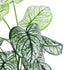 GloboStar® Artificial Garden CALADIUM 20908 Διακοσμητικό Φυτό Καλάδια Υ75cm - ledmania.gr