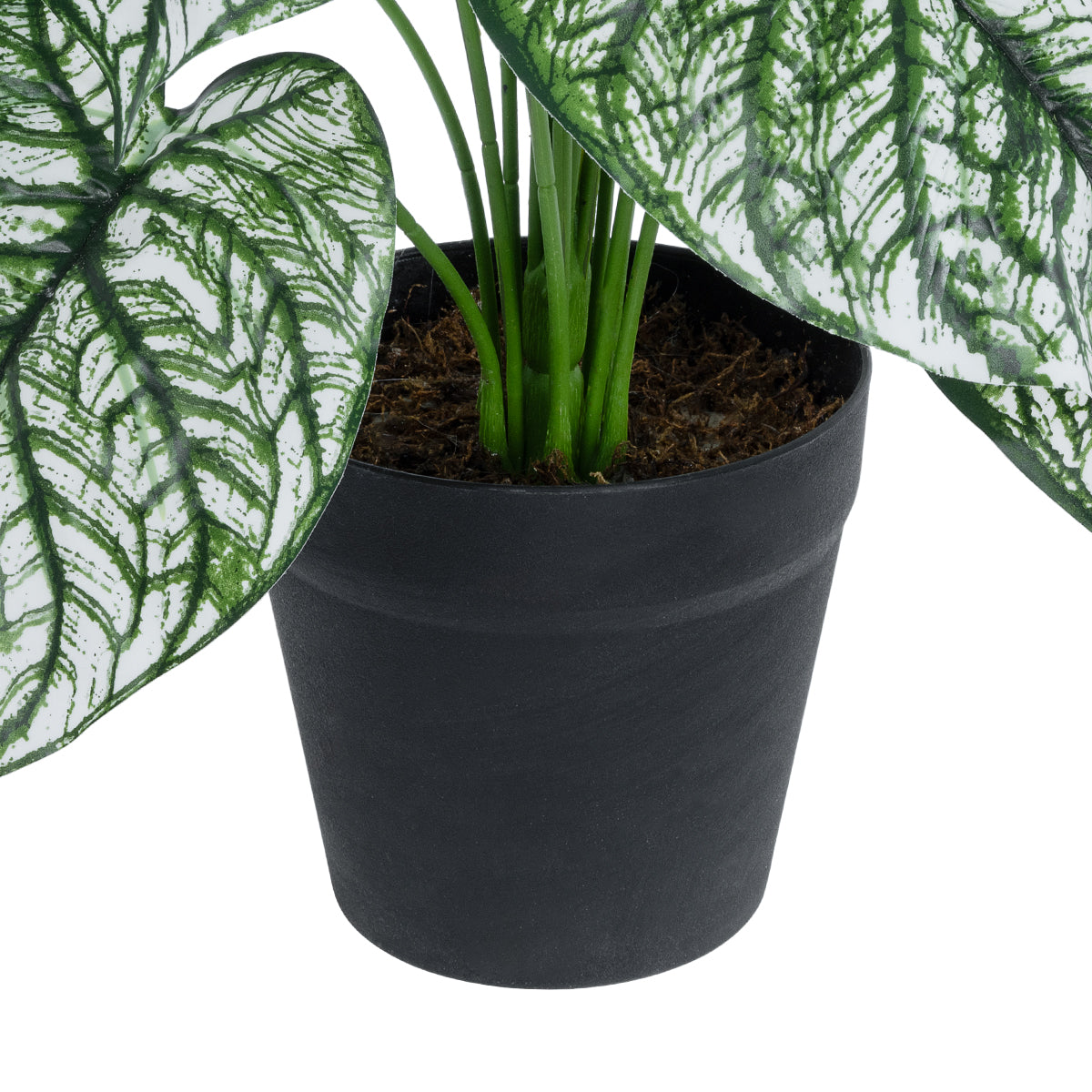 GloboStar® Artificial Garden CALADIUM 20908 Διακοσμητικό Φυτό Καλάδια Υ75cm - ledmania.gr