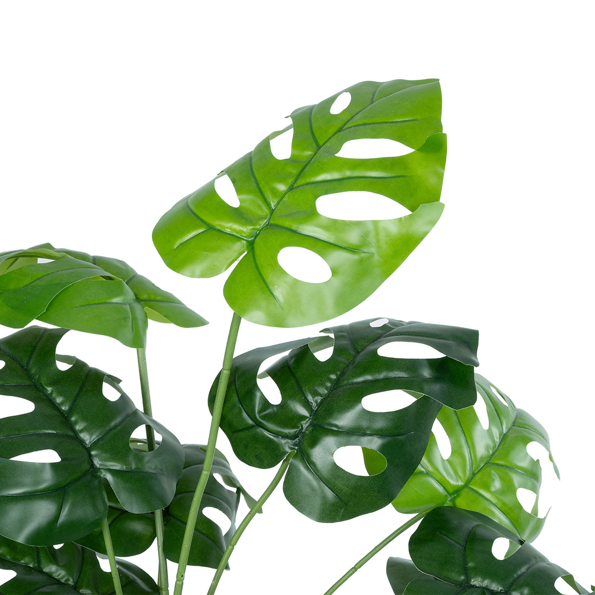 GloboStar® Artificial Garden MONSTERA 20909 Διακοσμητικό Φυτό Μονστέρα Υ75cm - ledmania.gr
