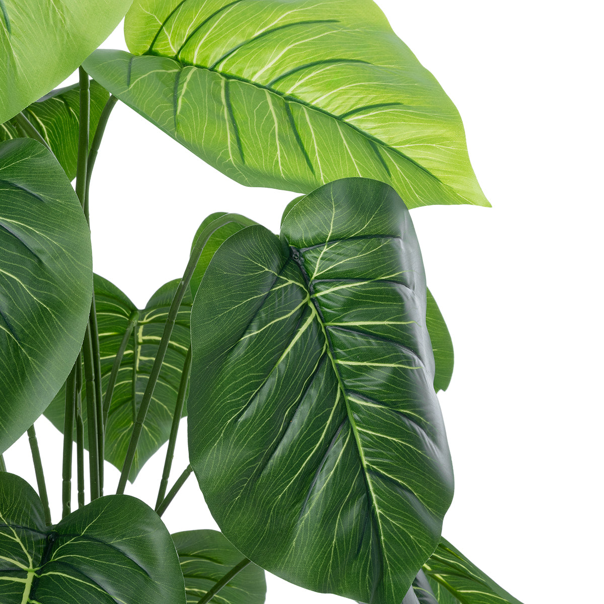 GloboStar® Artificial Garden PHILODENDRON 20910 Διακοσμητικό Φυτό Φυλλόδεντρο Υ75cm - ledmania.gr