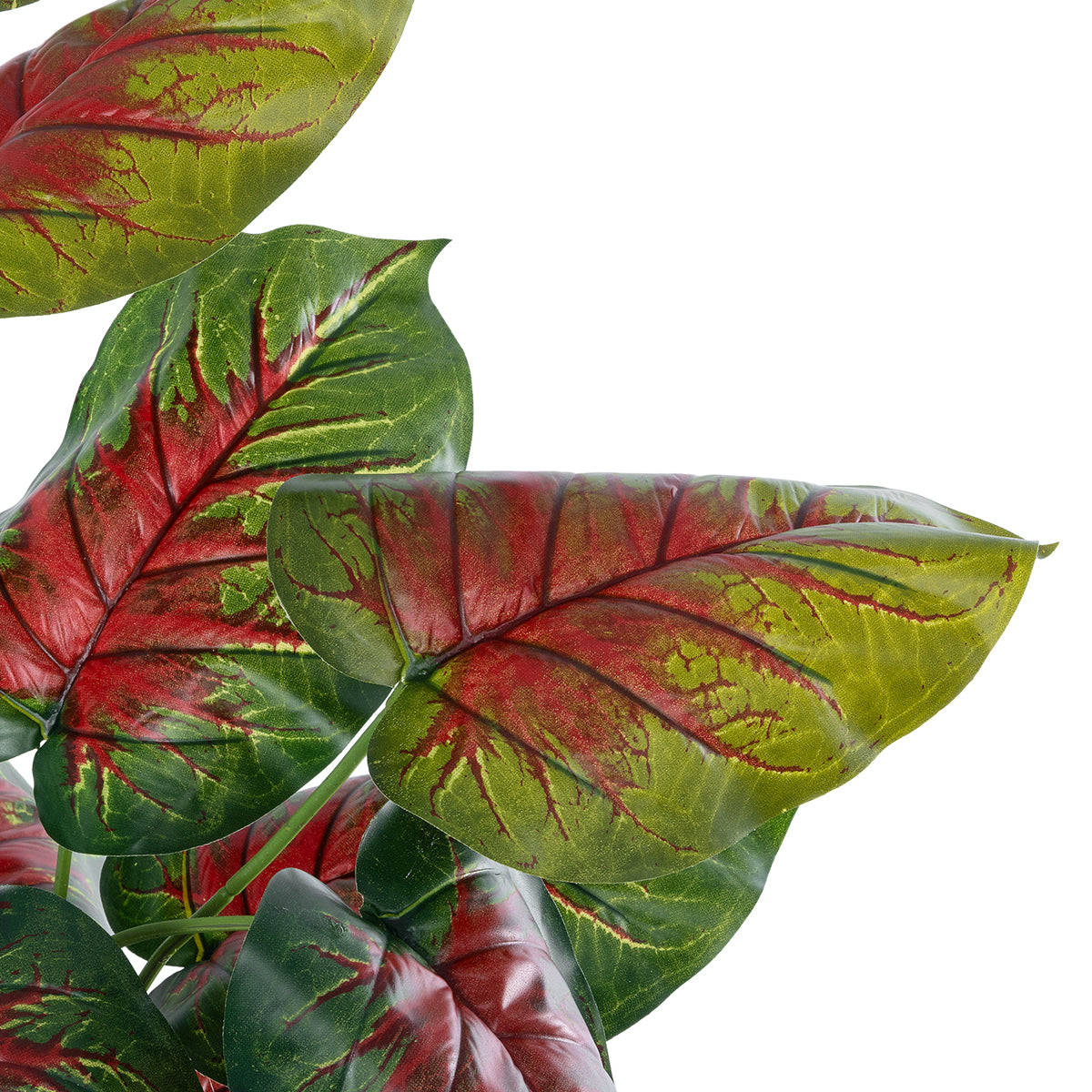 GloboStar® Artificial Garden CALADIUM MIX 20911 Διακοσμητικό Φυτό Καλάντιουμ Υ75cm - ledmania.gr