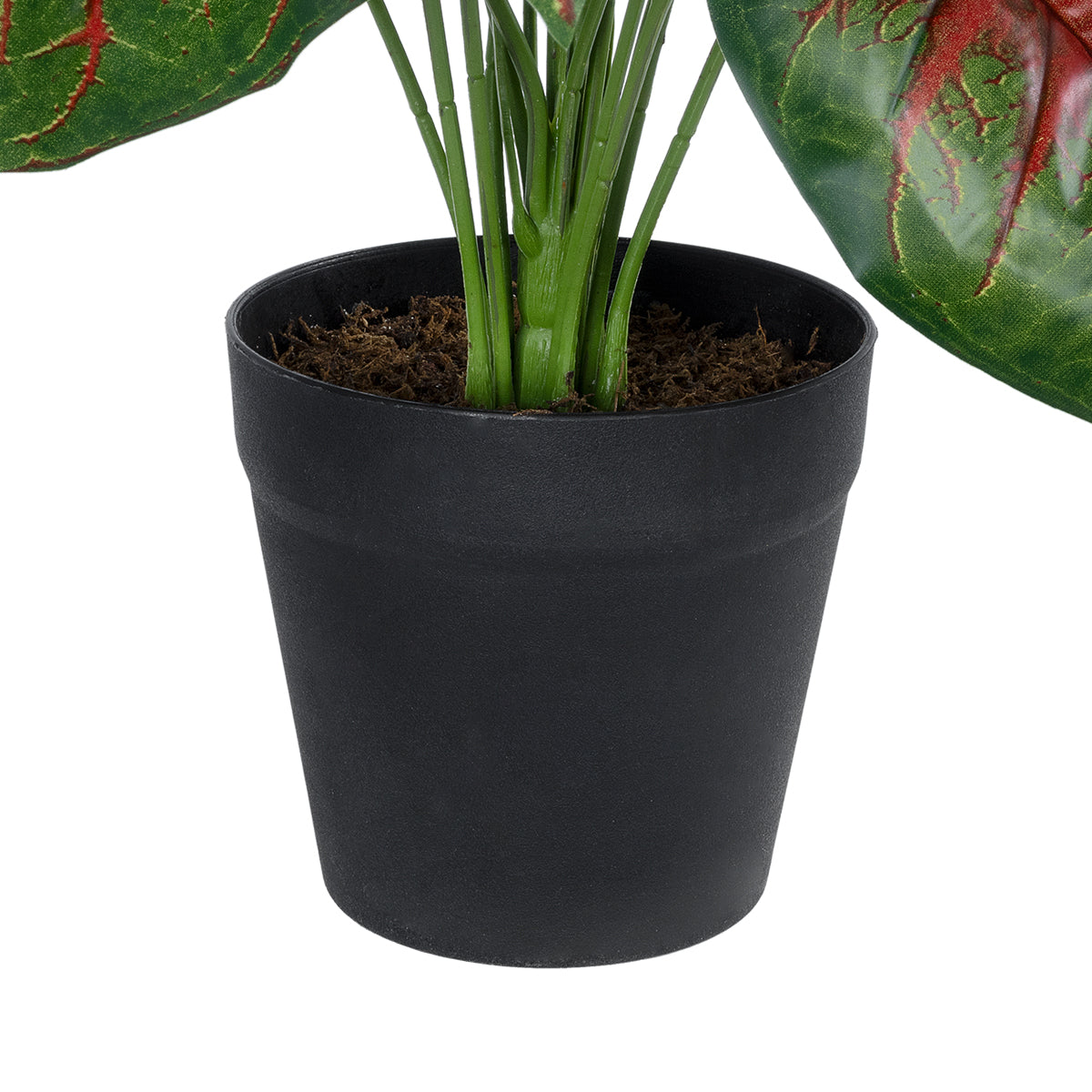 GloboStar® Artificial Garden CALADIUM MIX 20911 Διακοσμητικό Φυτό Καλάντιουμ Υ75cm - ledmania.gr