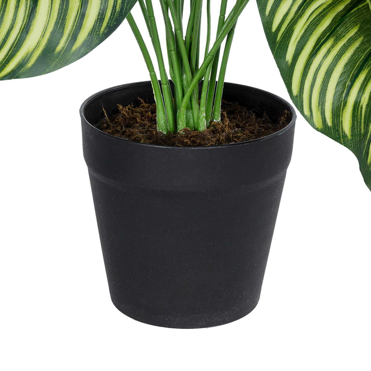 GloboStar® Artificial Garden CALATHEA 20912 Διακοσμητικό Φυτό Καλαθέα Υ75cm - ledmania.gr