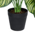 GloboStar® Artificial Garden CALATHEA 20912 Διακοσμητικό Φυτό Καλαθέα Υ75cm - ledmania.gr