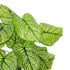 GloboStar® Artificial Garden CALADIUM 20913 Διακοσμητικό Φυτό Καλάντιουμ Υ75cm - ledmania.gr