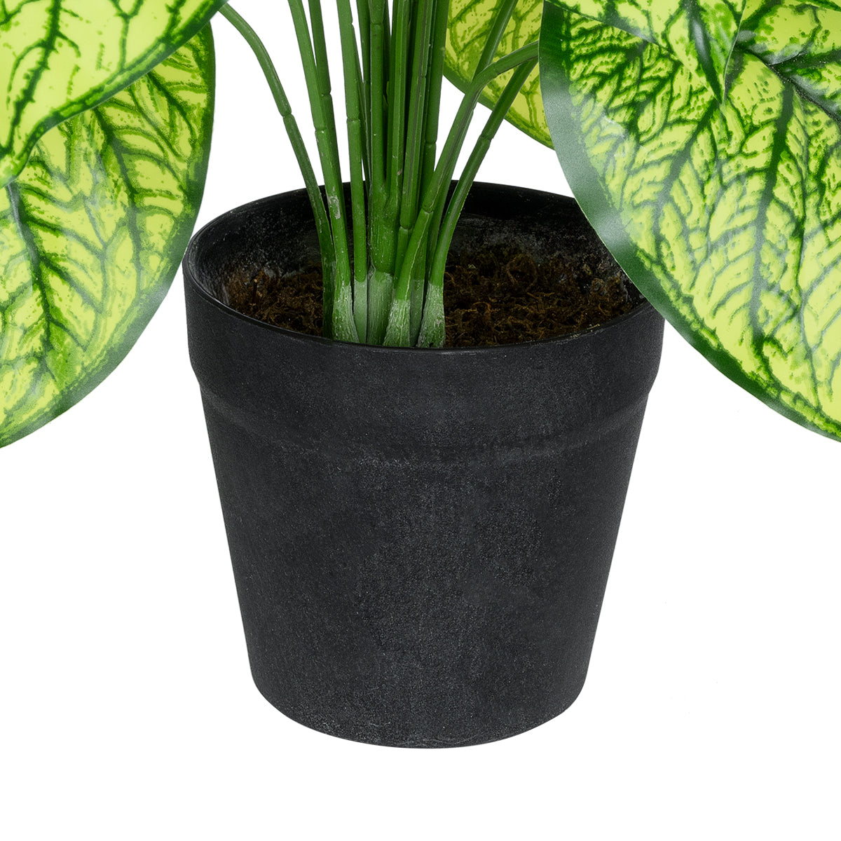 GloboStar® Artificial Garden CALADIUM 20913 Διακοσμητικό Φυτό Καλάντιουμ Υ75cm - ledmania.gr
