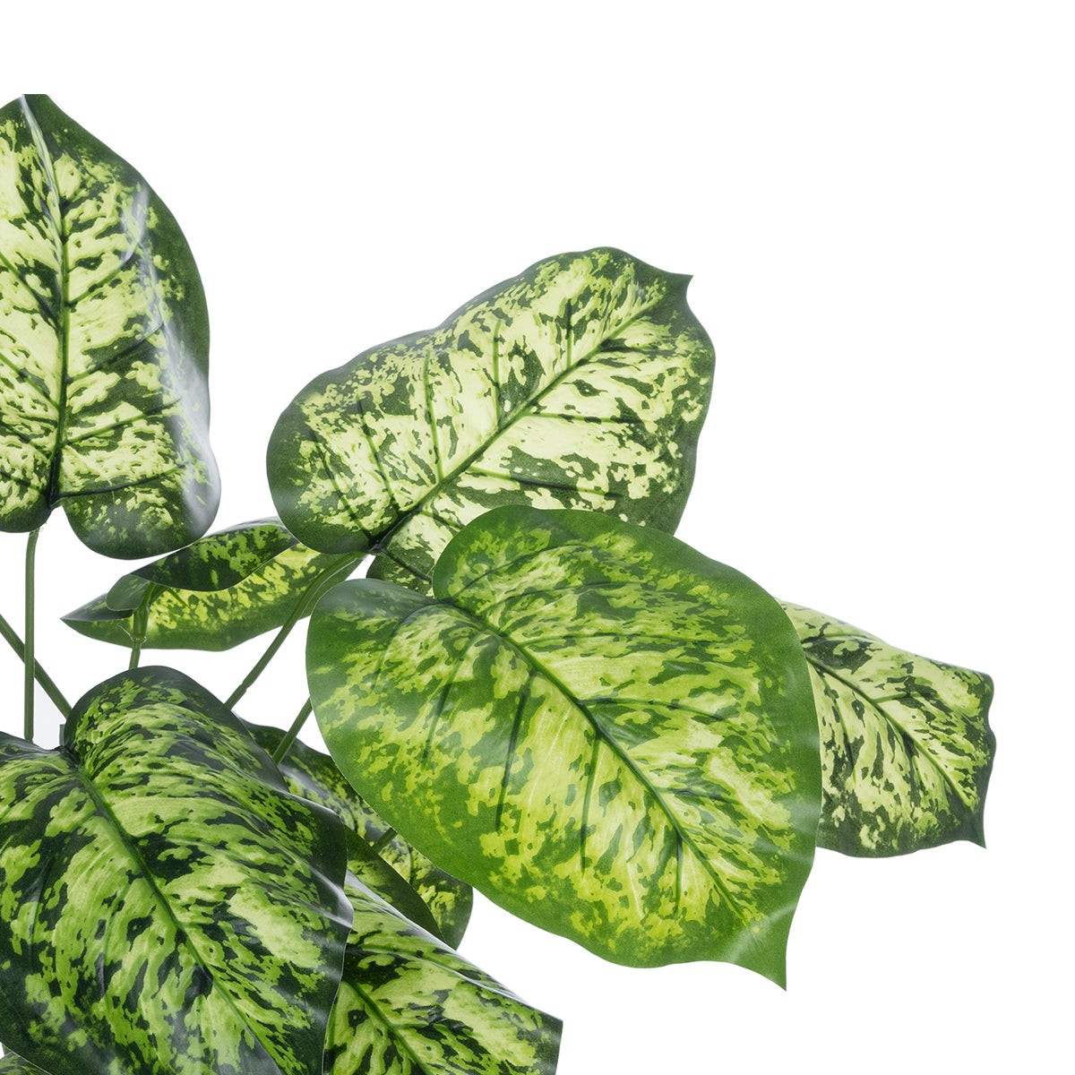 GloboStar® Artificial Garden DIEFFENBACHIA 20914 Διακοσμητικό Φυτό Υ75cm - ledmania.gr