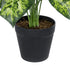 GloboStar® Artificial Garden DIEFFENBACHIA 20914 Διακοσμητικό Φυτό Υ75cm - ledmania.gr