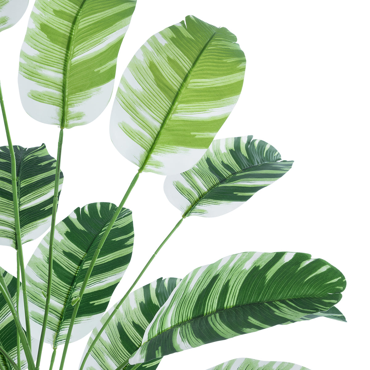 GloboStar® Artificial Garden BANANA ZEBRA 20918 Διακοσμητικό Φυτό Μπανανιά Ζέβρα Υ80cm - ledmania.gr