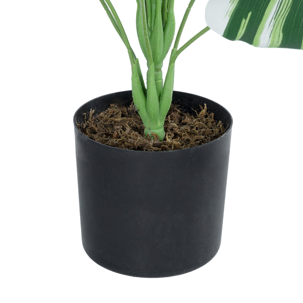 GloboStar® Artificial Garden BANANA ZEBRA 20918 Διακοσμητικό Φυτό Μπανανιά Ζέβρα Υ80cm - ledmania.gr