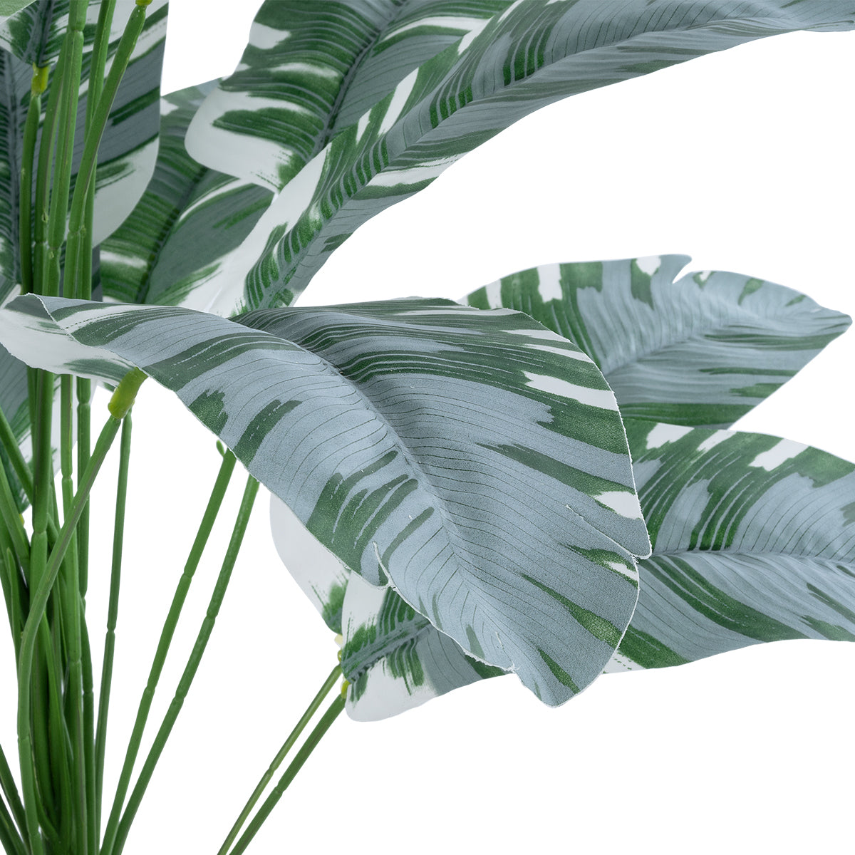 GloboStar® Artificial Garden BANANA ZEBRA 20919 Διακοσμητικό Φυτό Μπανανιά Ζέβρα Υ80cm - ledmania.gr