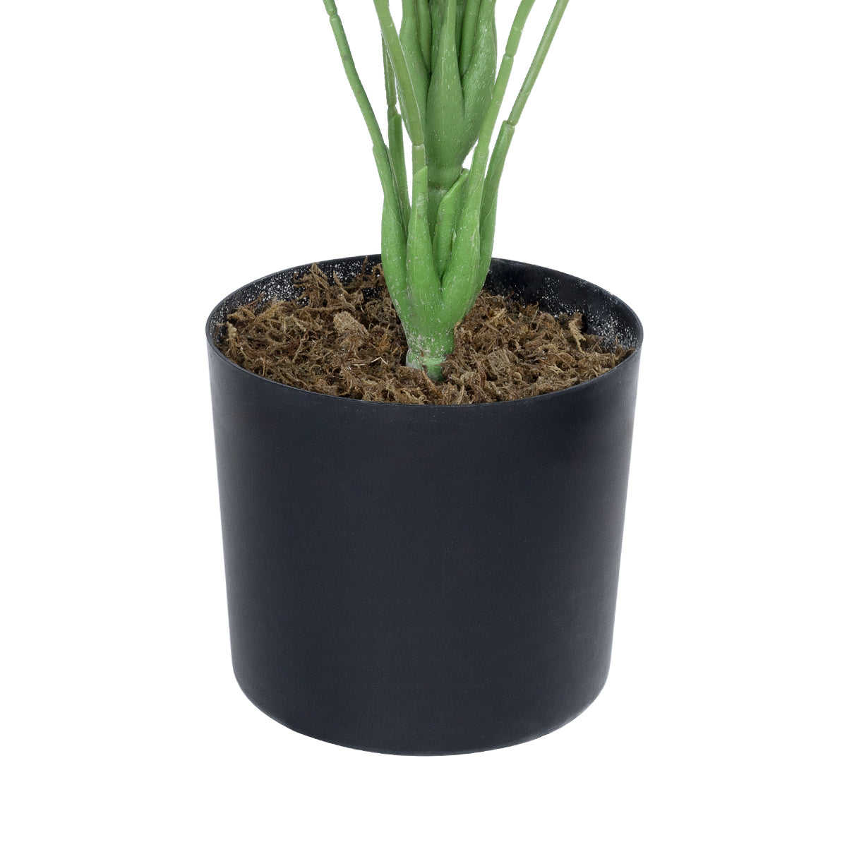 GloboStar® Artificial Garden WHITE HOSTA 20920 Διακοσμητικό Φυτό Λευκή Χόστα Υ80cm - ledmania.gr