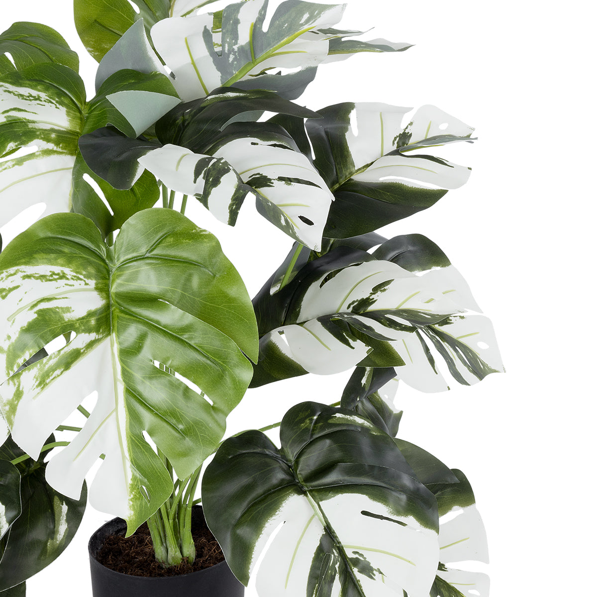GloboStar® Artificial Garden ALBINO MONSTERA 20925 Διακοσμητικό Φυτό Λευκή Μονστέρα Υ75cm - ledmania.gr
