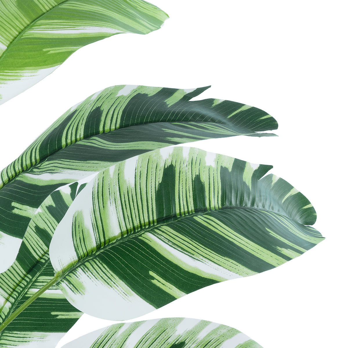 GloboStar® Artificial Garden BANANA ZEBRA 20929 Διακοσμητικό Φυτό Μπανανιά Ζέβρα Υ55cm - ledmania.gr
