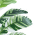 GloboStar® Artificial Garden BANANA ZEBRA 20929 Διακοσμητικό Φυτό Μπανανιά Ζέβρα Υ55cm - ledmania.gr