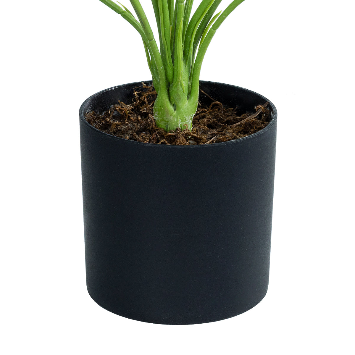 GloboStar® Artificial Garden BANANA ZEBRA 20929 Διακοσμητικό Φυτό Μπανανιά Ζέβρα Υ55cm - ledmania.gr