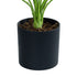 GloboStar® Artificial Garden BANANA ZEBRA 20929 Διακοσμητικό Φυτό Μπανανιά Ζέβρα Υ55cm - ledmania.gr