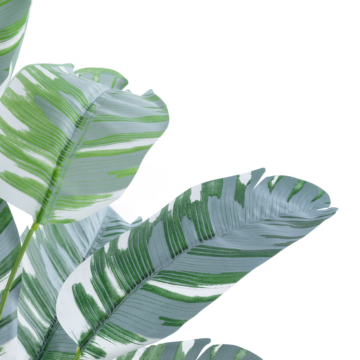 GloboStar® Artificial Garden BANANA ZEBRA 20930 Διακοσμητικό Φυτό Μπανανιά Ζέβρα Υ55cm - ledmania.gr