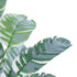 GloboStar® Artificial Garden BANANA ZEBRA 20930 Διακοσμητικό Φυτό Μπανανιά Ζέβρα Υ55cm - ledmania.gr
