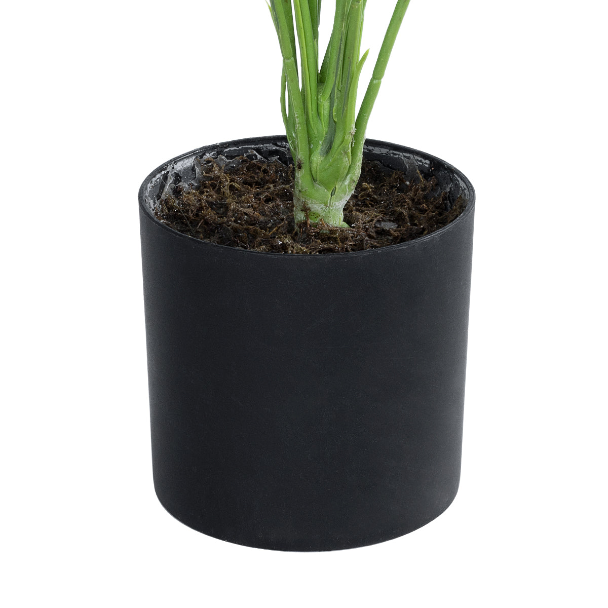 GloboStar® Artificial Garden BANANA ZEBRA 20930 Διακοσμητικό Φυτό Μπανανιά Ζέβρα Υ55cm - ledmania.gr