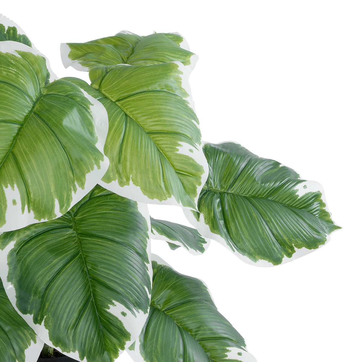 GloboStar® Artificial Garden WHITE HOSTA 20931 Διακοσμητικό Φυτό Λευκή  Χόστα Υ55cm - ledmania.gr