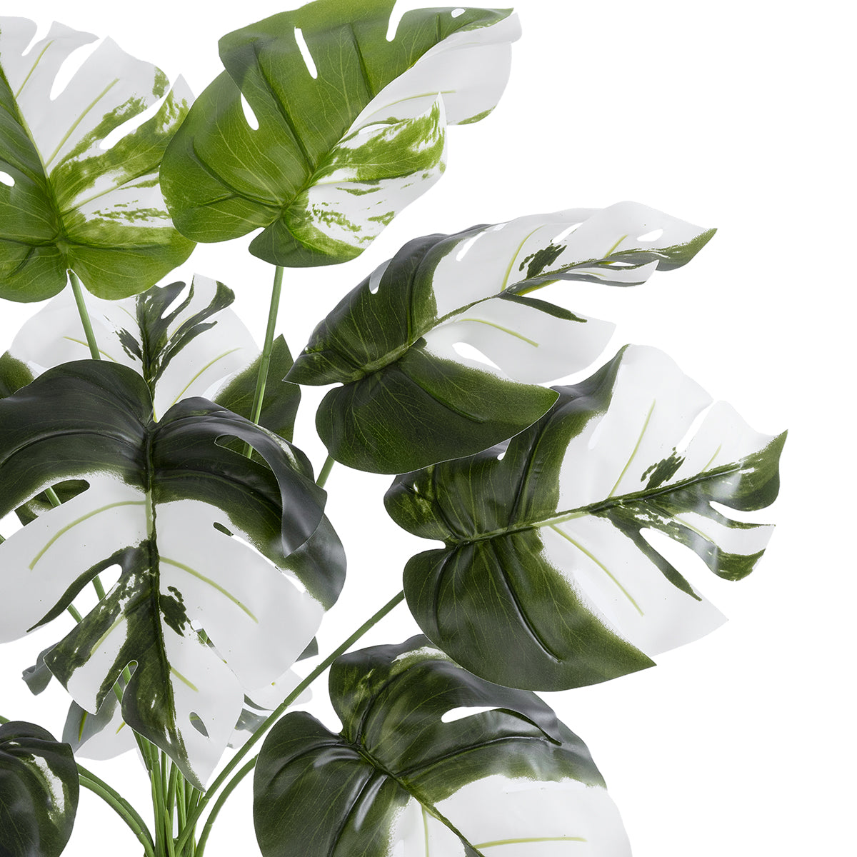 GloboStar® Artificial Garden ALBINO MONSTERA 20935 Διακοσμητικό Φυτό Λευκή Μονστέρα Υ55cm - ledmania.gr
