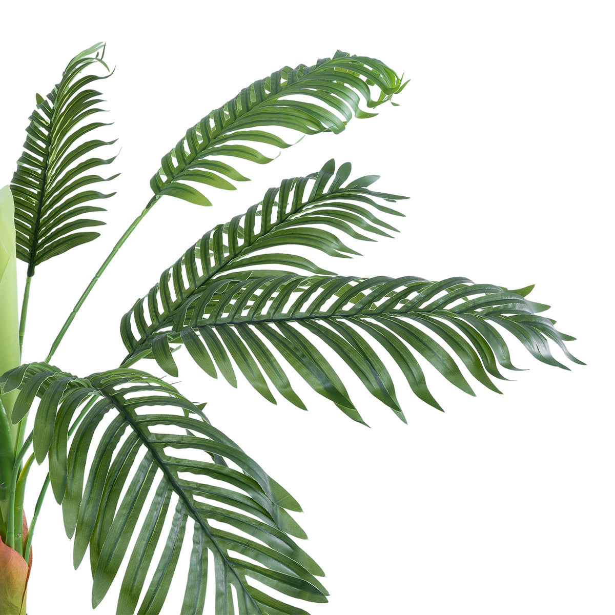 GloboStar® Artificial Garden ARECA PALM 20936 Διακοσμητικό Φυτό Αρέκα Υ90cm - ledmania.gr