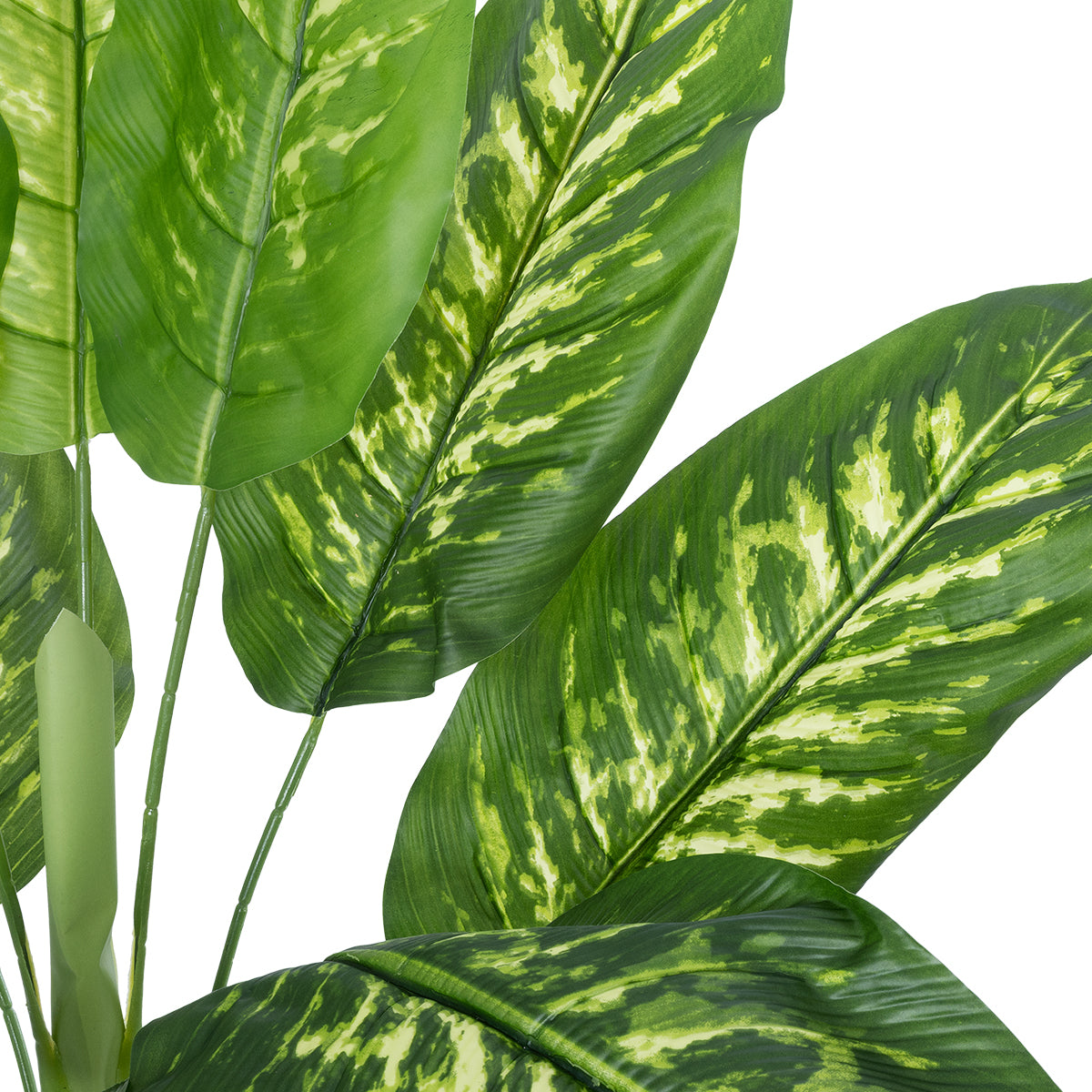 GloboStar® Artificial Garden CALATHEA 20940 Διακοσμητικό Φυτό Καλαθέα Υ90cm - ledmania.gr