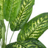 GloboStar® Artificial Garden CALATHEA 20940 Διακοσμητικό Φυτό Καλαθέα Υ90cm - ledmania.gr