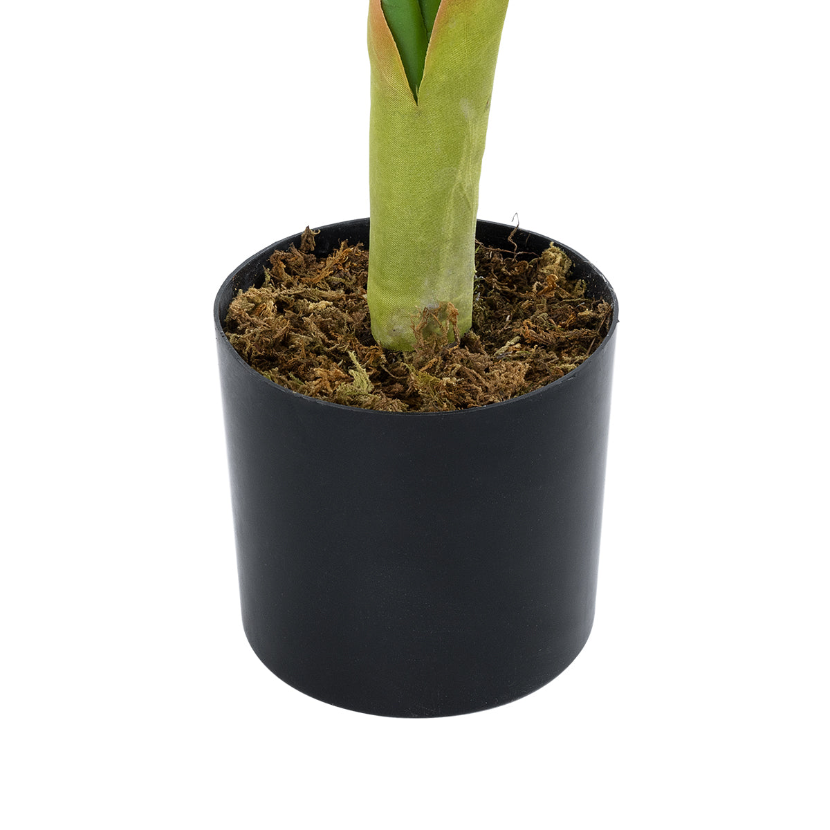 GloboStar® Artificial Garden CALATHEA 20940 Διακοσμητικό Φυτό Καλαθέα Υ90cm - ledmania.gr