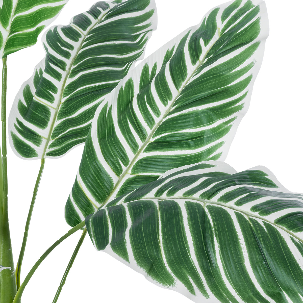 GloboStar® Artificial Garden WHITE ZEBRA 20943 Τεχνητό Διακοσμητικό Φυτό Λευκή Ζέβρα Υ90cm - ledmania.gr