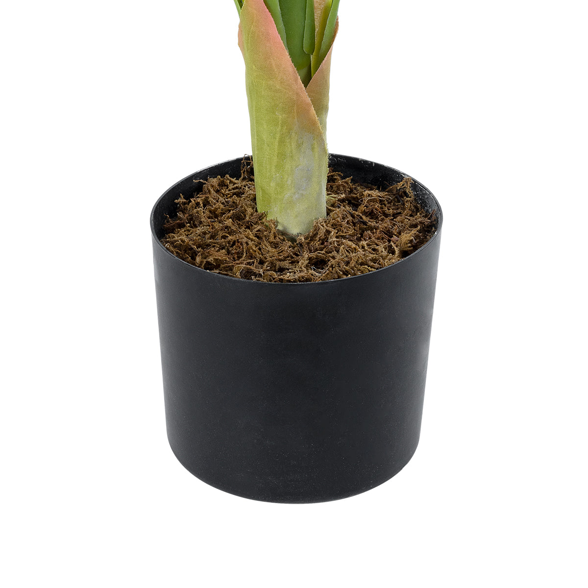 GloboStar® Artificial Garden WHITE ZEBRA 20943 Τεχνητό Διακοσμητικό Φυτό Λευκή Ζέβρα Υ90cm - ledmania.gr