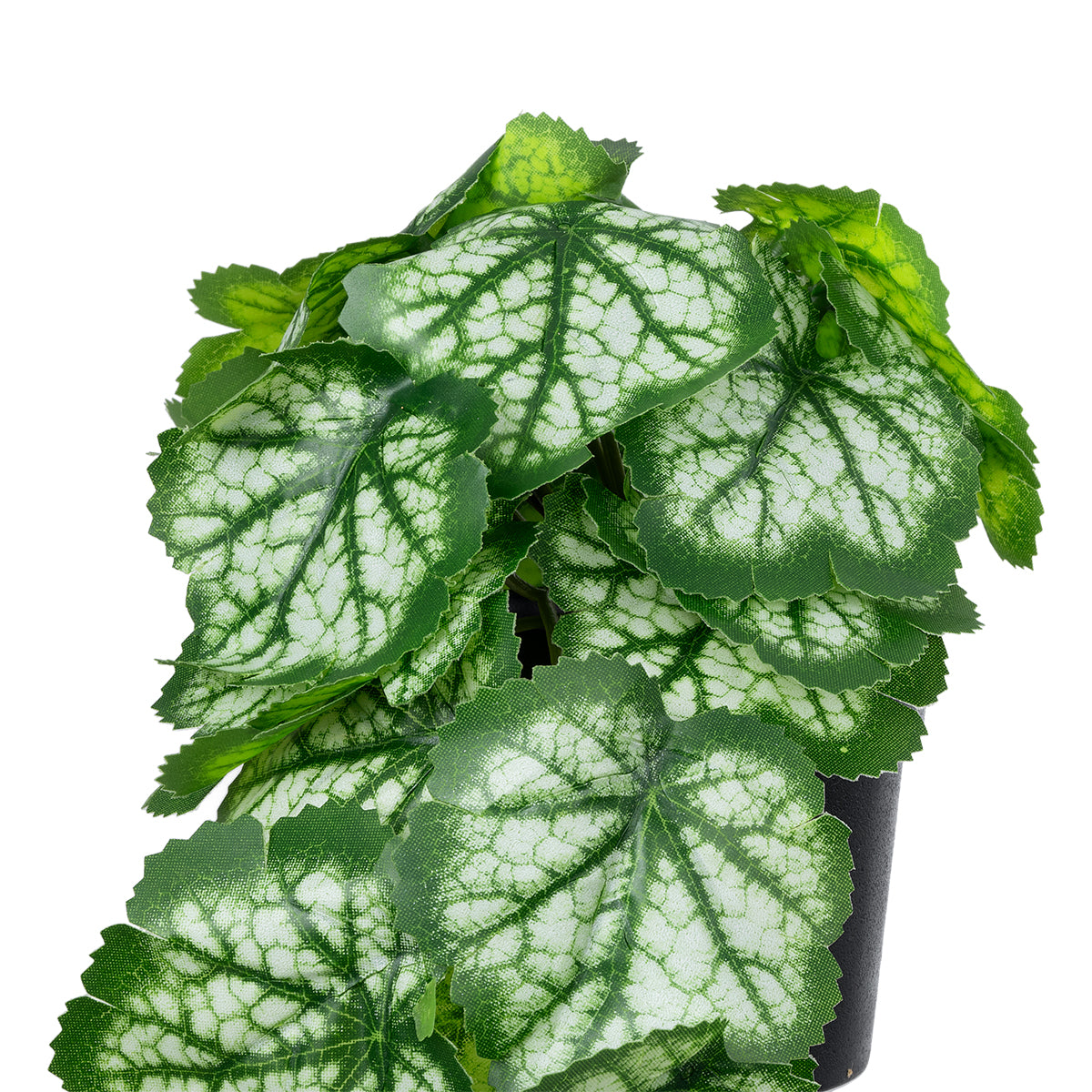 GloboStar® Artificial Garden WHITE BEGONIA PLANT 20947 Διακοσμητικό Φυτό Λευκή Μπιγόνια Φ23 x Υ16cm - ledmania.gr