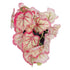 GloboStar® Artificial Garden RED BEGONIA PLANT 20948 Διακοσμητικό Φυτό Κόκκινη Μπιγόνια Φ23 x Υ16cm - ledmania.gr