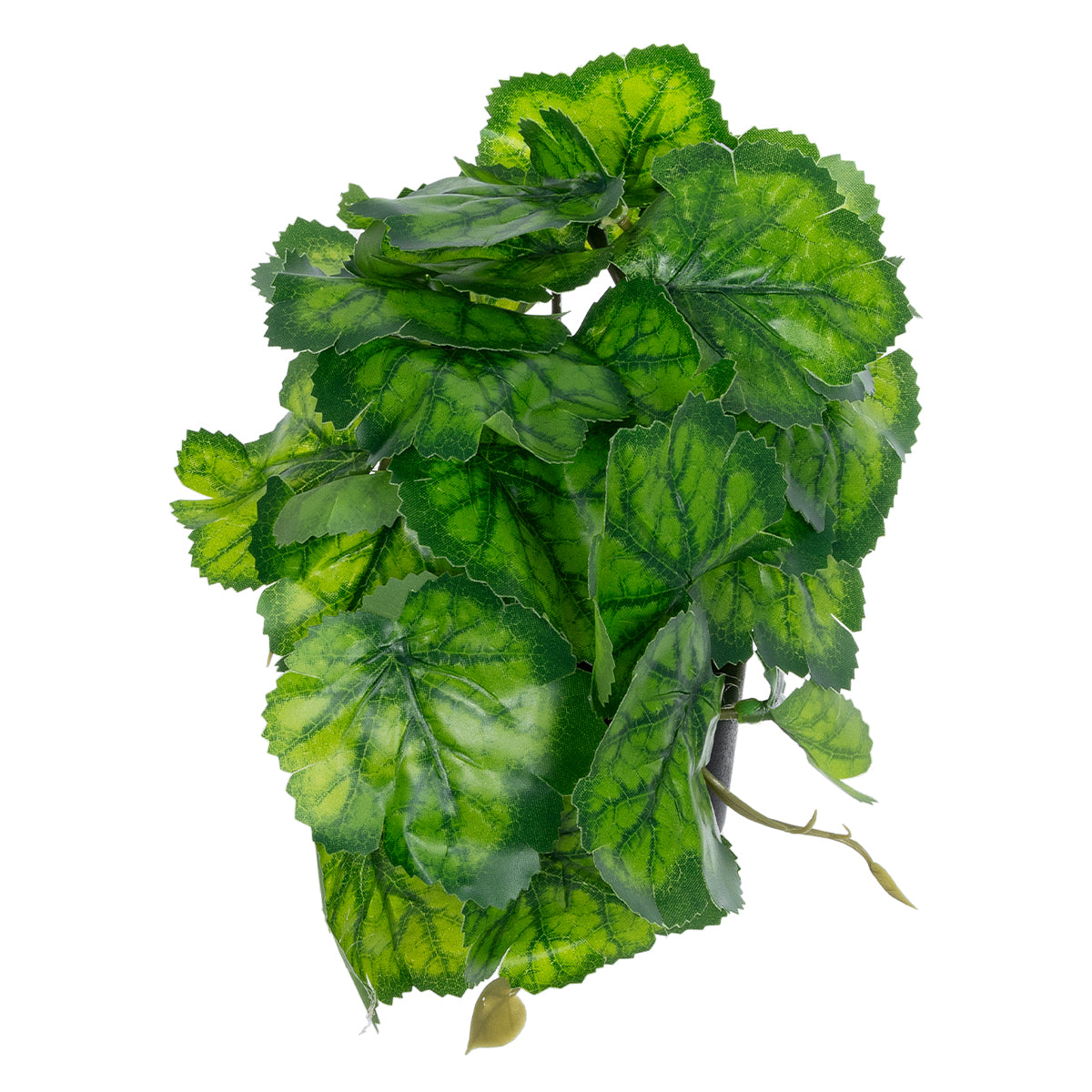 GloboStar® Artificial Garden GREEN BEGONIA PLANT 20949 Διακοσμητικό Φυτό Πράσινη Μπιγόνια Φ23 x Υ16cm - ledmania.gr