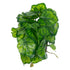 GloboStar® Artificial Garden GREEN BEGONIA PLANT 20949 Διακοσμητικό Φυτό Πράσινη Μπιγόνια Φ23 x Υ16cm - ledmania.gr