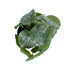 GloboStar® Artificial Garden STRAWBERRY 20950 Διακοσμητικό Φυτό Φραουλιά Υ16cm - ledmania.gr