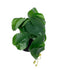 GloboStar® Artificial Garden STRAWBERRY PLANT 20951 Διακοσμητικό Φυτό Φράουλα Φ23 x Υ16cm - ledmania.gr