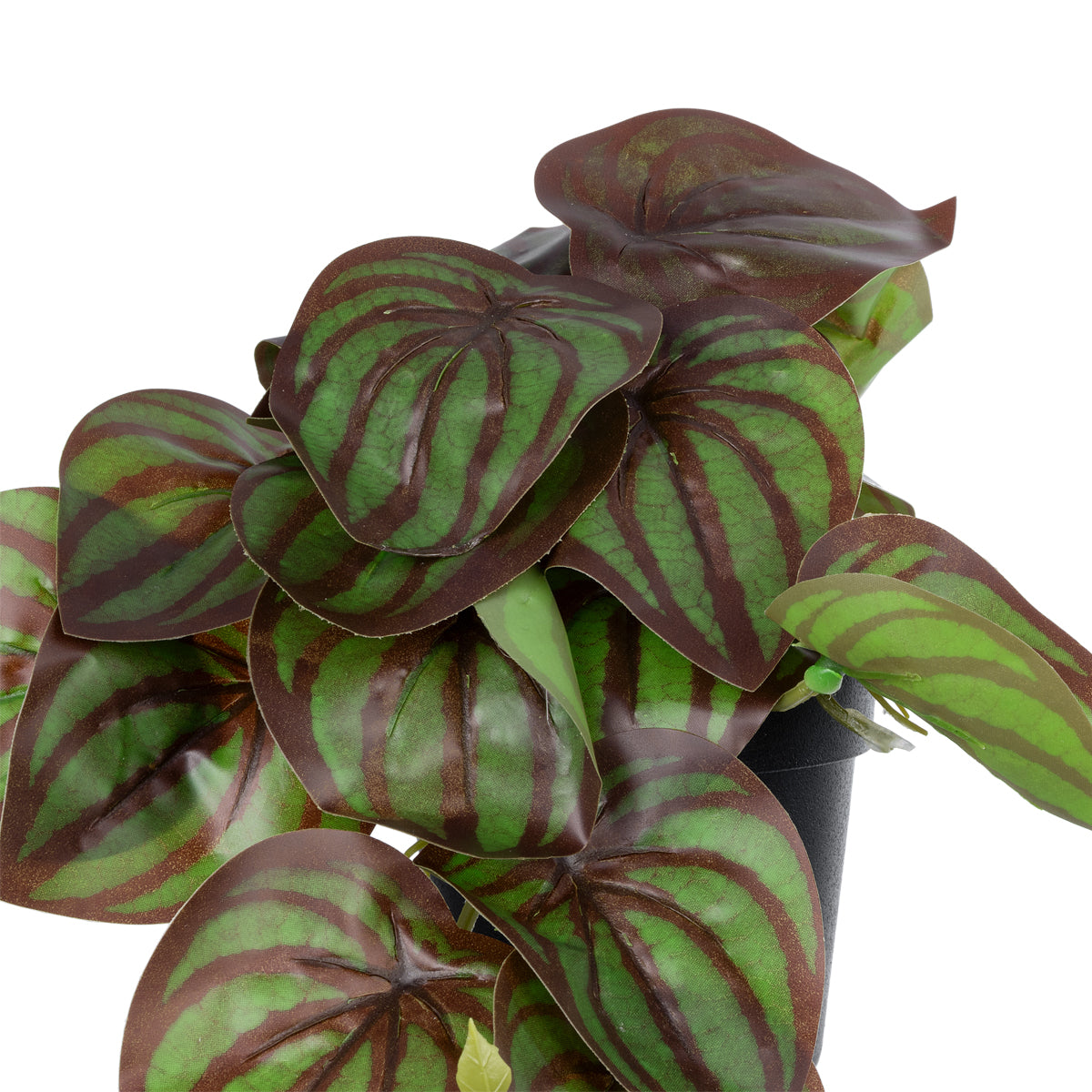 GloboStar® Artificial Garden BROWN PEPEROMIA PLANT 20952 Διακοσμητικό Φυτό Καφέ Πεπερόμια Φ23 x Υ16cm - ledmania.gr