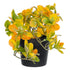 GloboStar® Artificial Garden SCHEFFLERA MIX PLANT 20955 Διακοσμητικό Φυτό Σεφλέρα Φ20 x Υ18cm - ledmania.gr