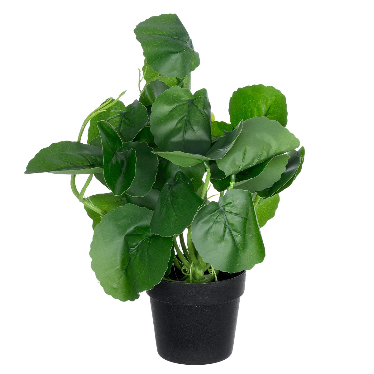 GloboStar® Artificial Garden BELL PLANT 20957 Διακοσμητικό Φυτό Σεφλέρα Φ47 x Υ22cm - ledmania.gr