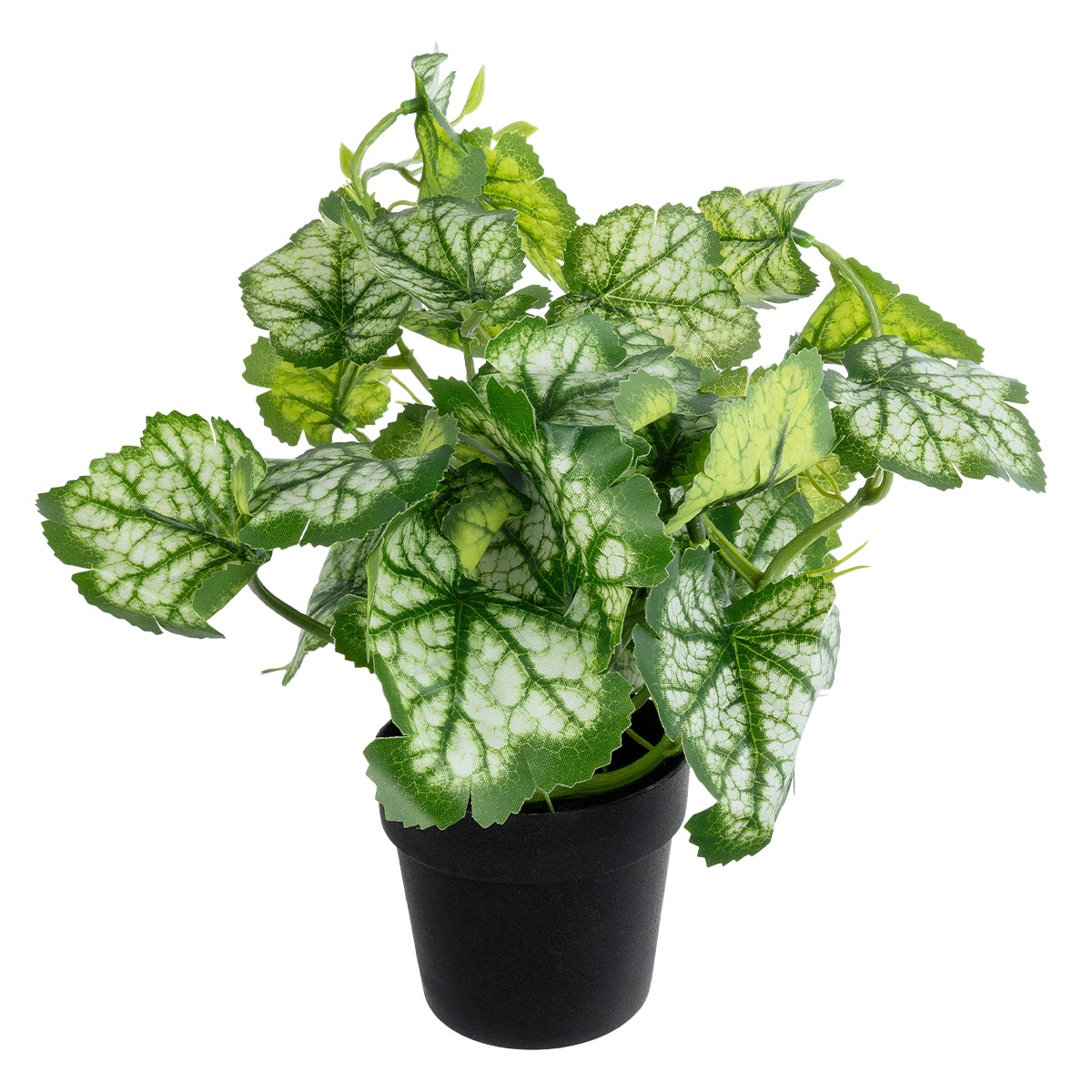 GloboStar® Artificial Garden BEGONIA PLANT 20958 Διακοσμητικό Φυτό Βιγόνια Φ47 x Υ22cm - ledmania.gr